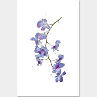 Watercolor orchid Posters and Art